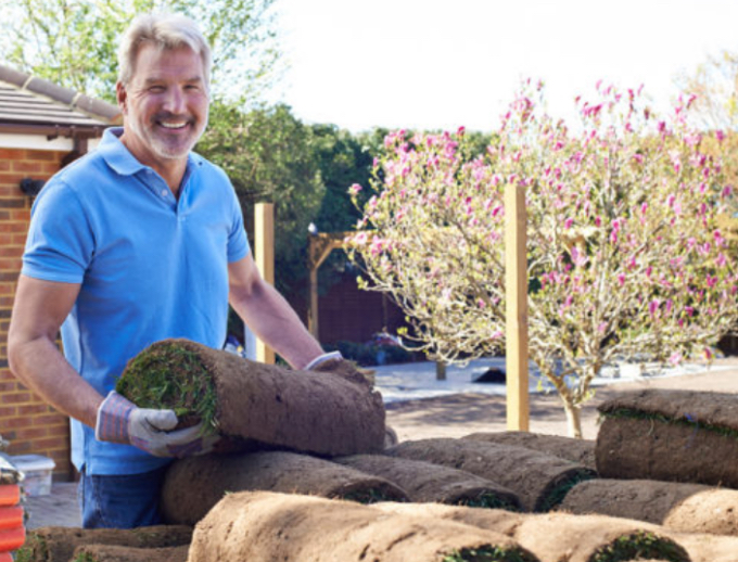 Steps to Becoming a Professional Landscaper